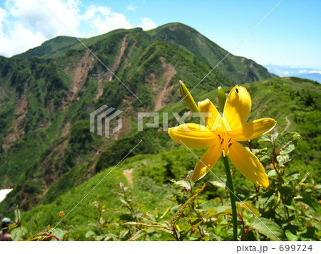 白山連峰別山とニッコウキスゲ 白山連峰別山とニッコウキスゲ 699724