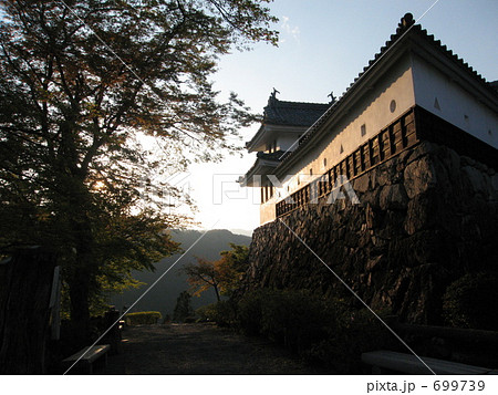 郡上八幡の城 699739