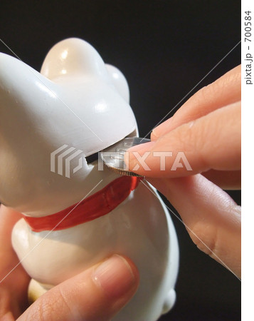 貯金 貯金 700584