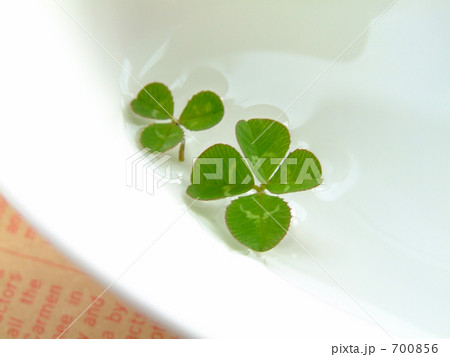 うかぶクローバー 700856