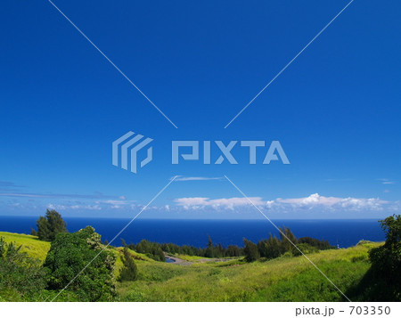 ワイピオの海と緑 703350