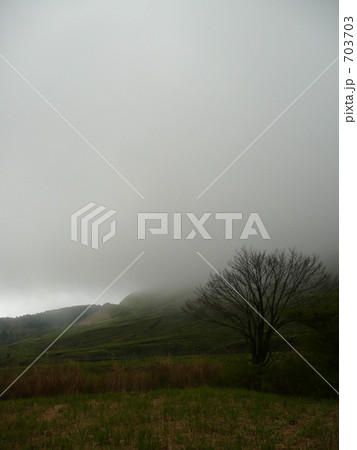 朝霧の高原 703703