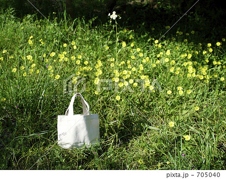 花畑とトートバッグ 705040