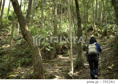 熊野古道を歩く 705261