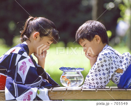 金魚鉢をのぞき込む子供たち 金魚鉢をのぞき込む子供たち 705549