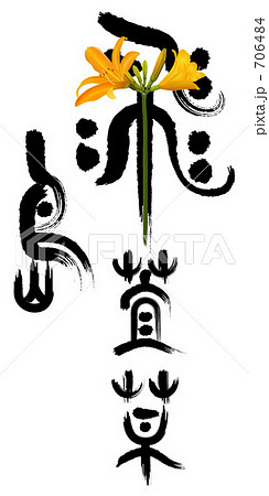 トビシマカンゾウと筆文字イラスト 706484