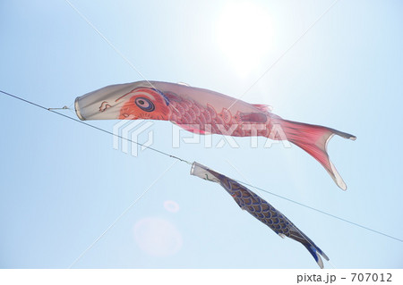 こいのぼり こいのぼり 707012