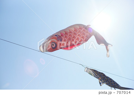 こいのぼり こいのぼり 707014