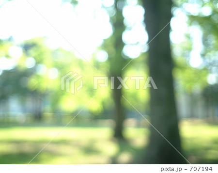 初夏の公園 707194