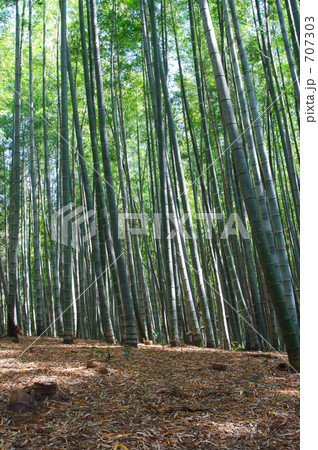 気持ちのいい空間 707303