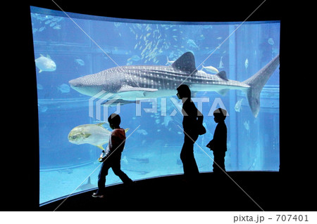 シルエット シルエット 707401