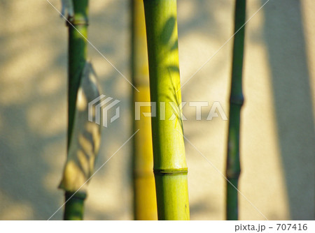 竹と壁 707416