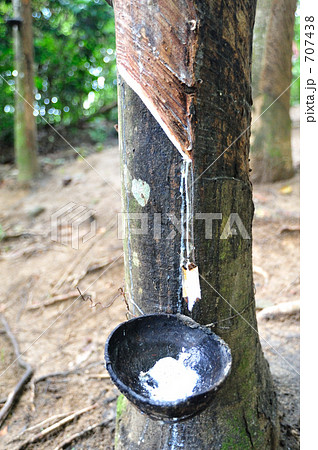 天然ゴム 天然ゴム 707438