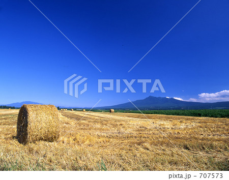 斜里岳のもとで 707573