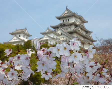 桜の季節 708125