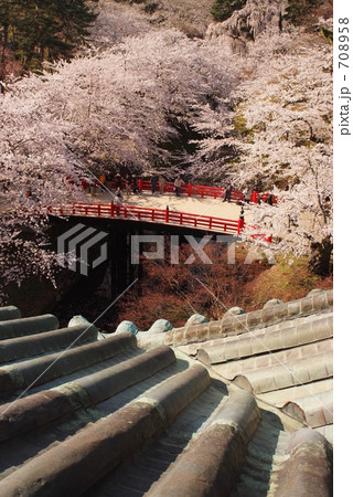 天守閣からみた下乗橋 天守閣からみた下乗橋 708958