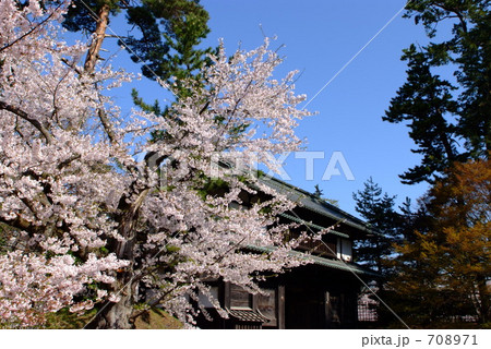桜と弘前城南内門 桜と弘前城南内門 708971