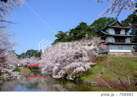 弘前城　桜と辰己櫓 708982
