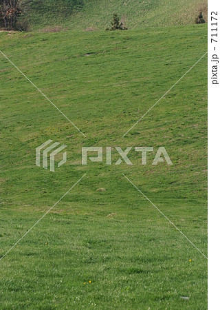 草原の丘 草原の丘 711172