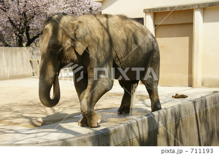 ちょっと失礼！ 711193