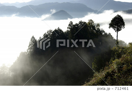朝霧 712461