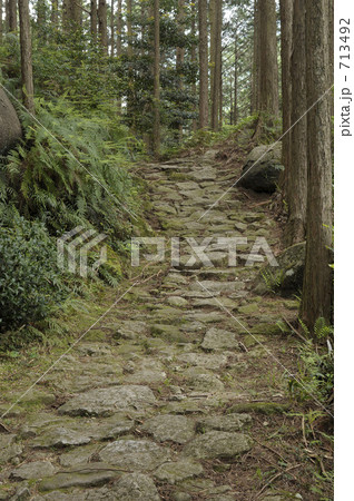 熊野古道 八鬼山道 熊野古道 八鬼山道 713492