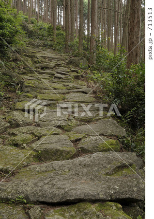熊野古道 八鬼山道 熊野古道 八鬼山道 713513