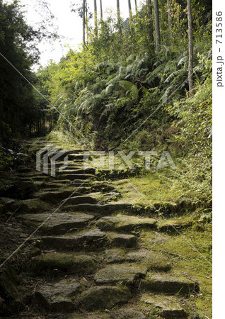 熊野古道　八鬼山越七曲がり 713586