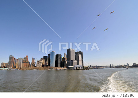 ニューヨーク・ハーバーとカモメたち 713596