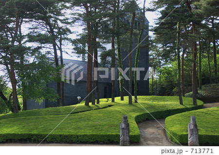 午後の新緑　 713771