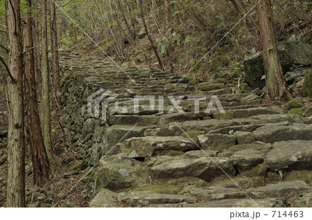 熊野古道　松本峠への道 714463