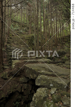 熊野古道 松本峠への道 熊野古道 松本峠への道 714468