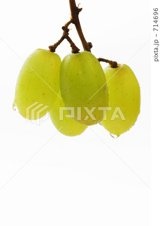 トンプソン トンプソン 714696