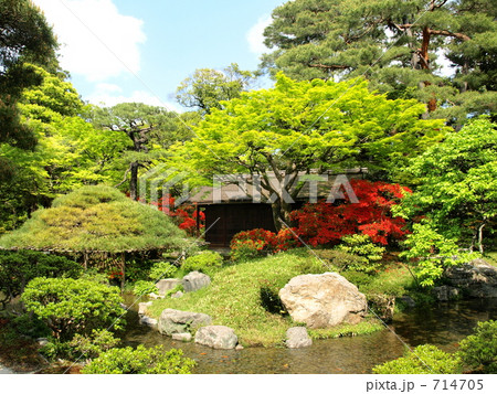 京都御所・御内庭 714705