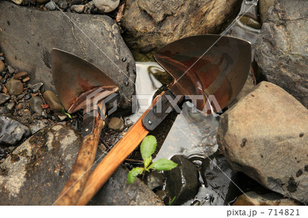 中カッチャと小カッチャ 中カッチャと小カッチャ 714821