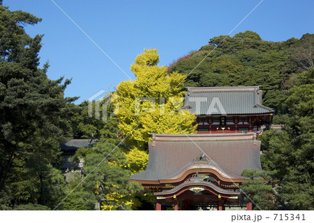 鶴岡八幡宮の舞殿と本宮 鶴岡八幡宮の舞殿と本宮 715341