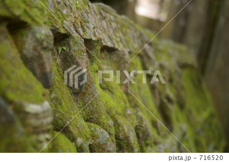 苔むした岩 716520