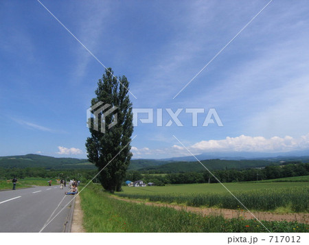 ケンとメリーの木 ケンとメリーの木 717012