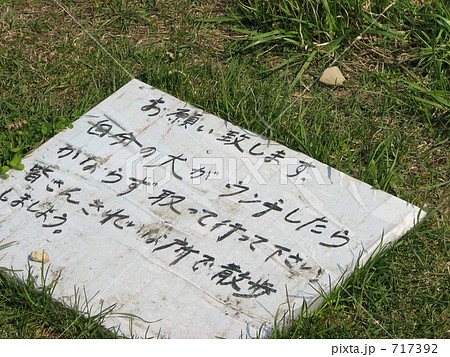 お願い致します 717392