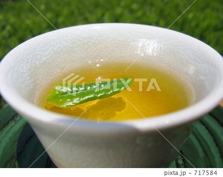 新茶 新茶 717584