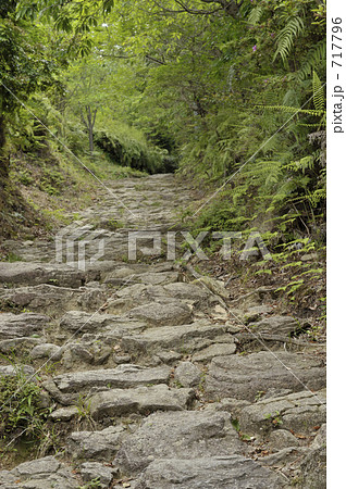 熊野古道　馬越峠道 717796