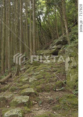 熊野古道  曽根次郎坂太郎坂 717820
