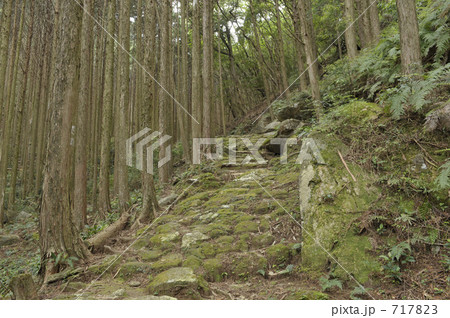 熊野古道  曽根次郎坂太郎坂 717823