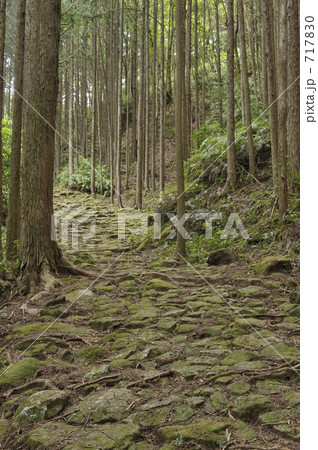 熊野古道  曽根次郎坂太郎坂 717830