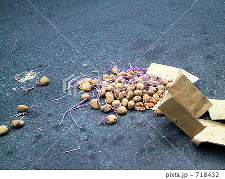 路上の芋 718432