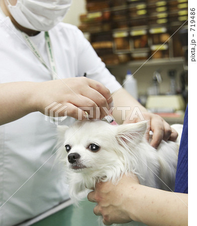 予防が大切! 予防が大切! 719486