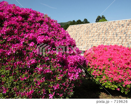 ツツジ咲く庭園 ツツジ咲く庭園 719626