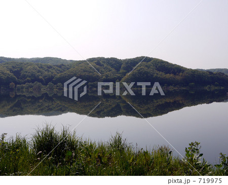 釜房湖・草むら 719975