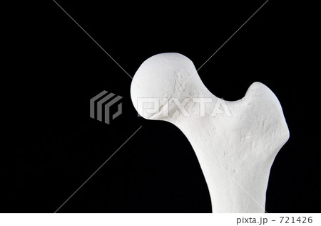 大腿骨模型Ⅰ 721426