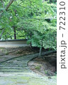 緑の中へ 722310